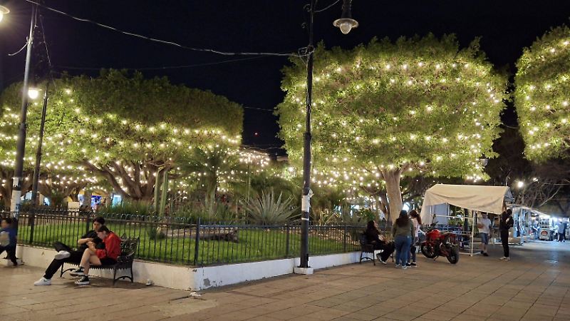 El-jardin-es-de-los-mas-bellos